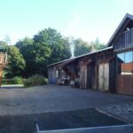 Jugendwaldeinsatz der Klasse 8a-Teil I