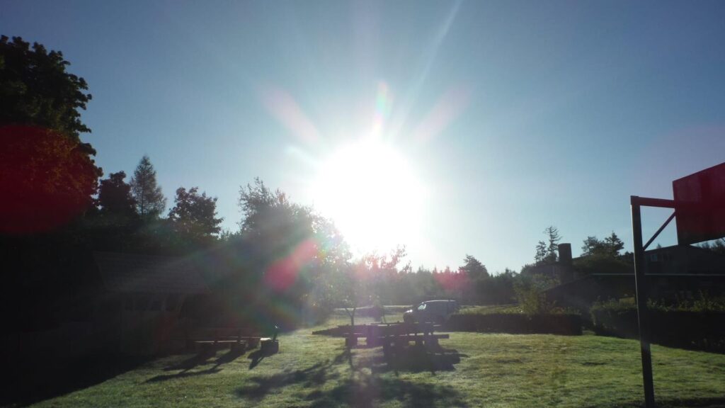 Jugendwaldeinsatz der Klasse 8a-Teil II