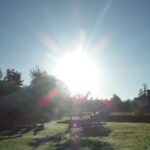 Jugendwaldeinsatz der Klasse 8a-Teil II